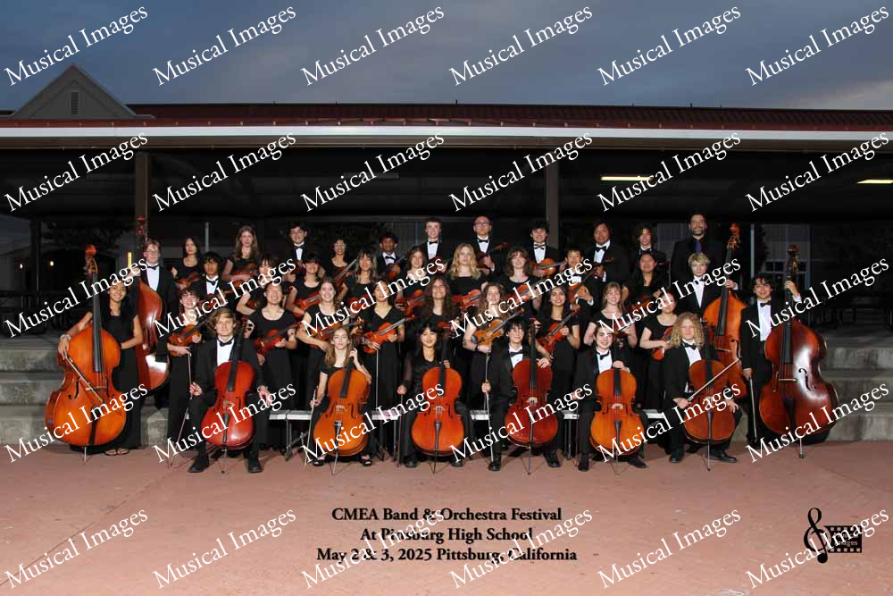 Musical Images